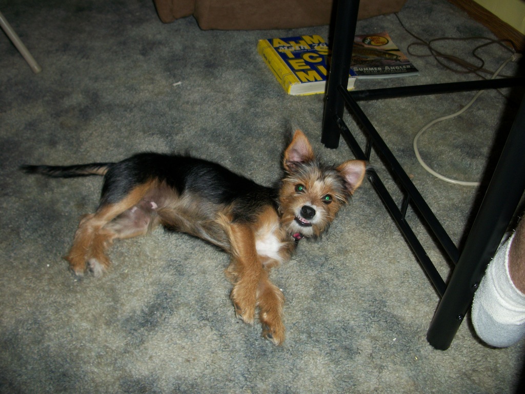 100_0374.JPG