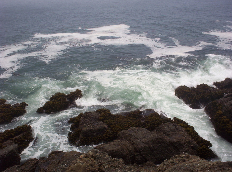 100_0503.jpg