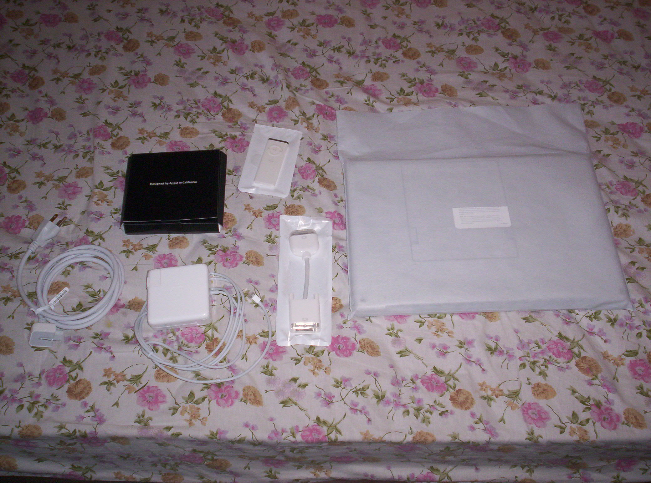 100_1573.JPG