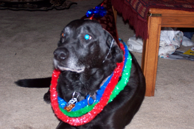 100_2225.jpg