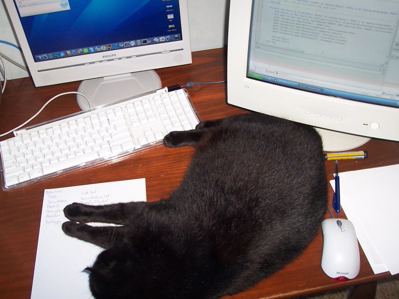 100_3083small 14-29-31.jpg