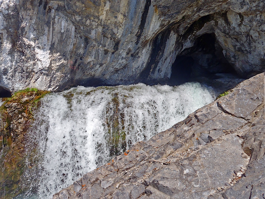 10Fo_042&43HeadwatersCrow.jpg