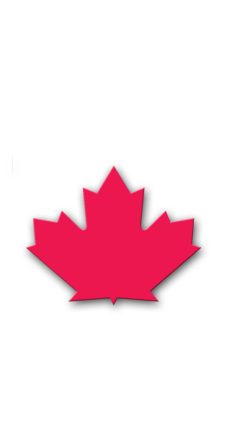 11.png