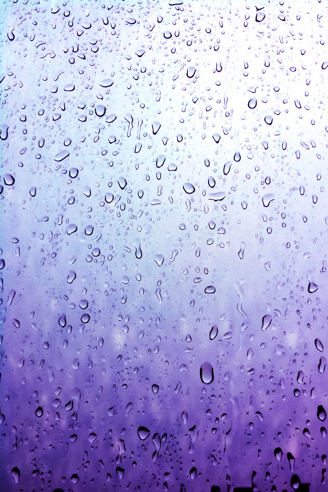 1261 iPhone.png