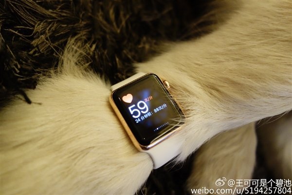 13015-7372-wang-si-cong-dog-apple-watch4-l.jpg