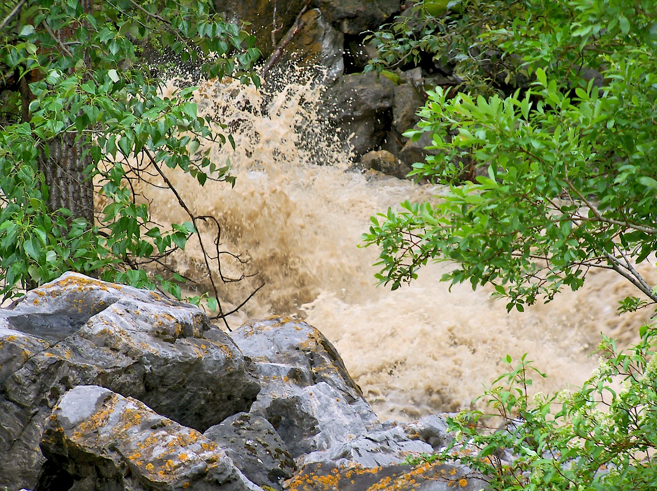 130620_K41.jpg