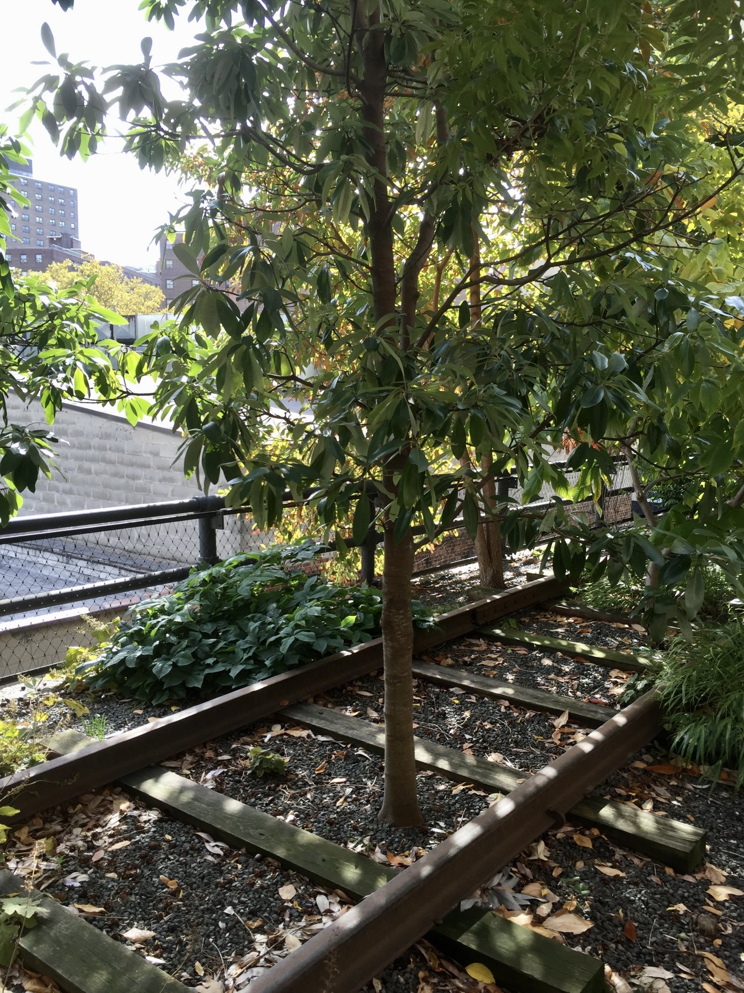 1610971572415.jpeg