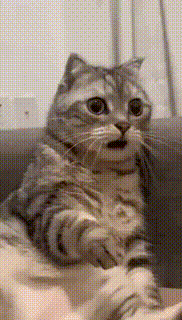 1751470836904.gif