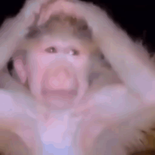 1780068816439.png