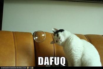 1839985918_funny_cat_pictures_lolcats_dafuq_answer_1_xlarge.jpeg