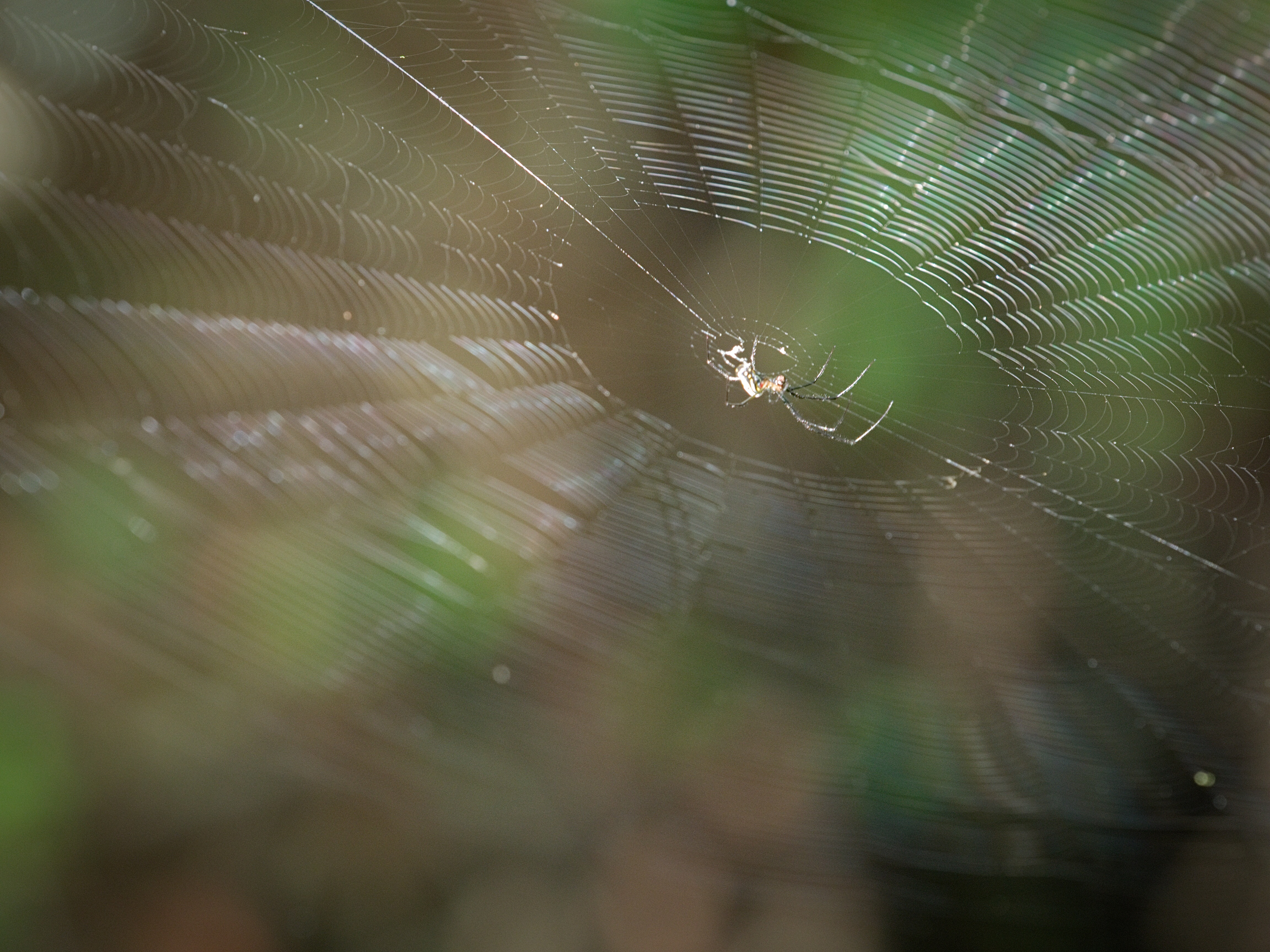 1F35A393-ADC1-4AB1-A412-08192A59AA6F.jpeg