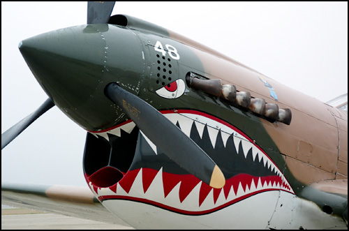 1warhawk_closeup.jpg