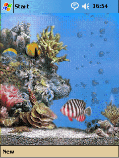 2005_winmo_wallpaper.gif