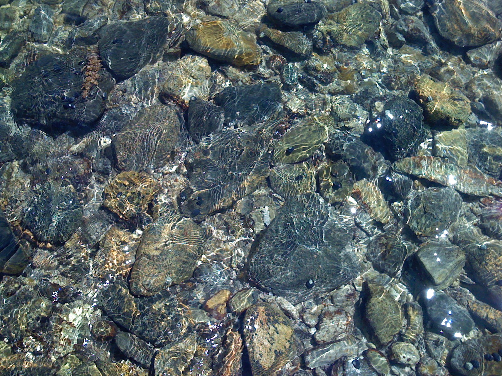 2007.10.14-13.15.40.JPG