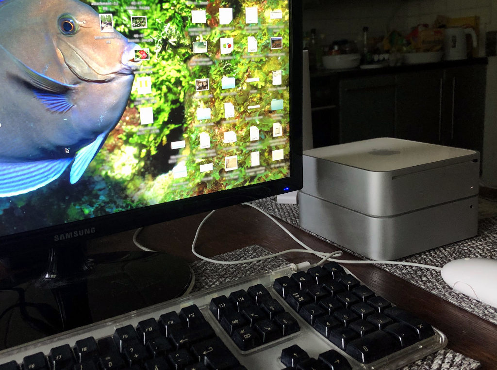 2007 Mini 2009 Mini Server.jpg