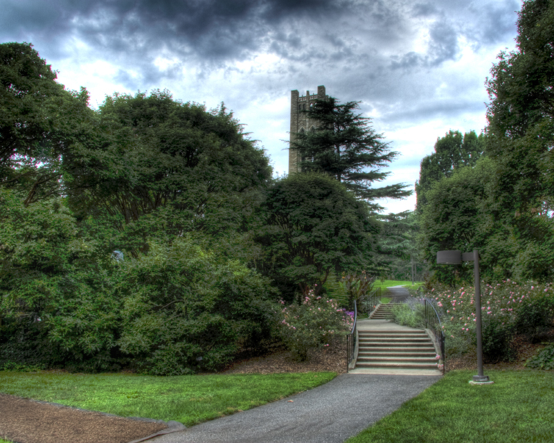 20070826-SWC3_HDR2.jpg