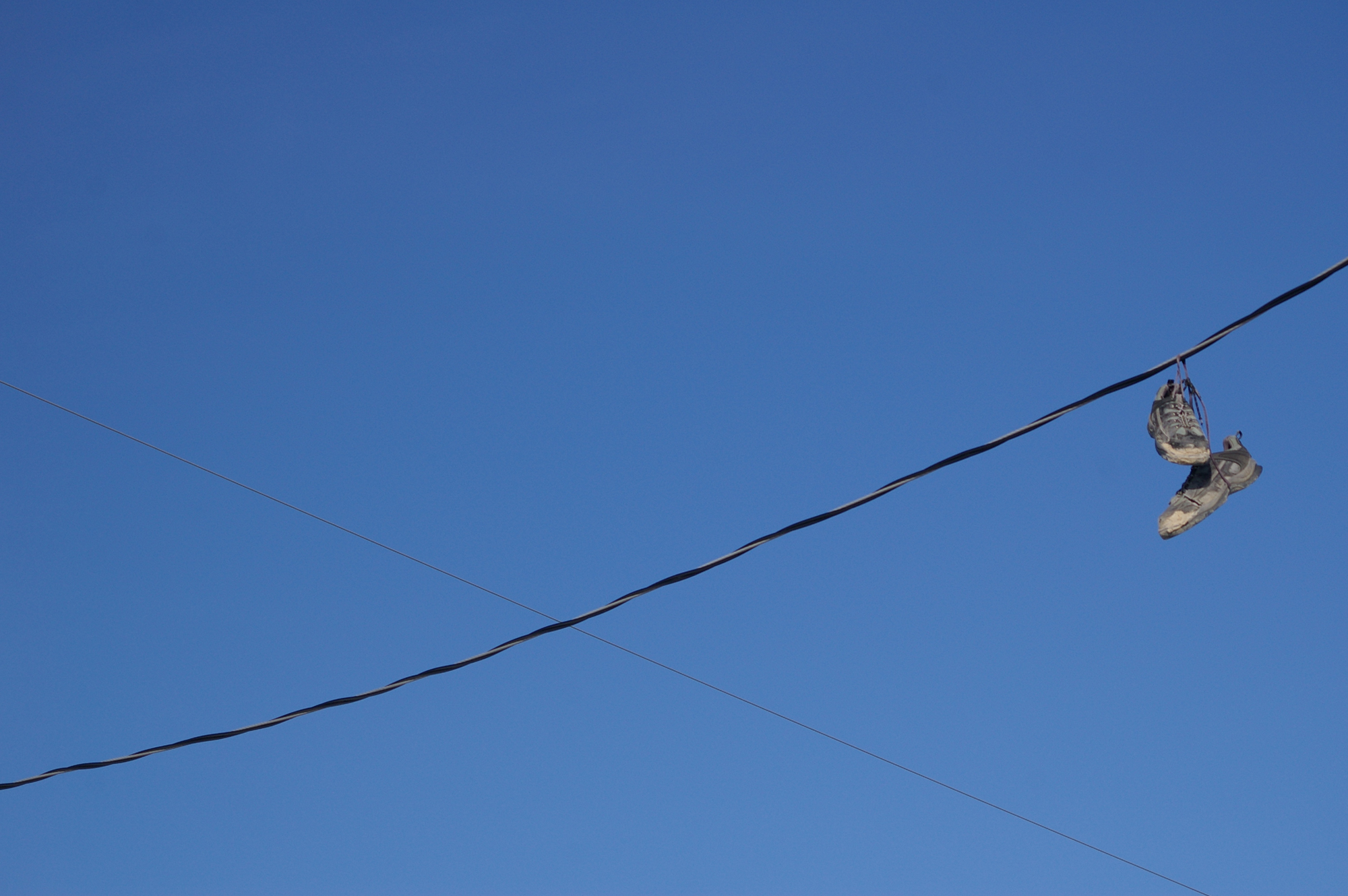 2009-02-09_7.JPG