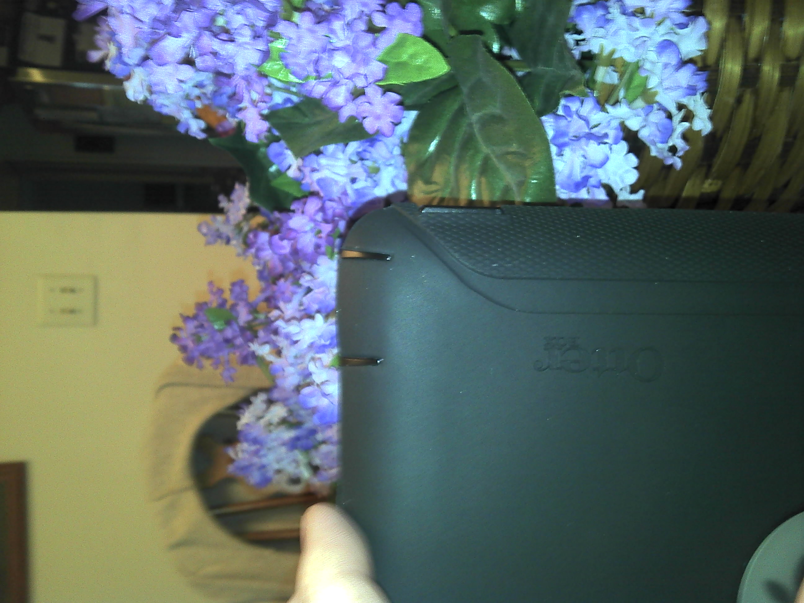 2011-05-17_16-45-32_120.jpg