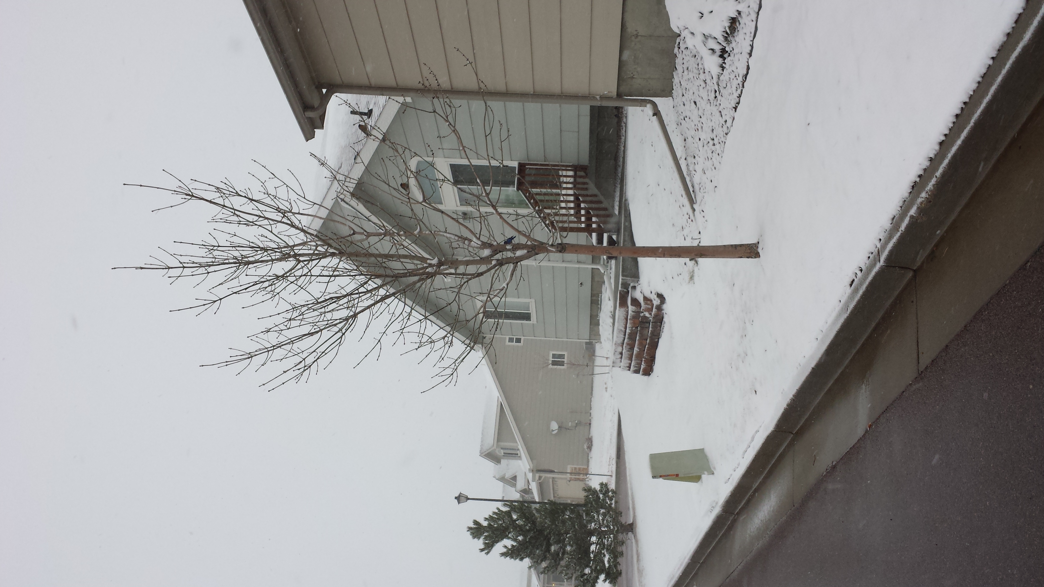 20130501_172916.jpg