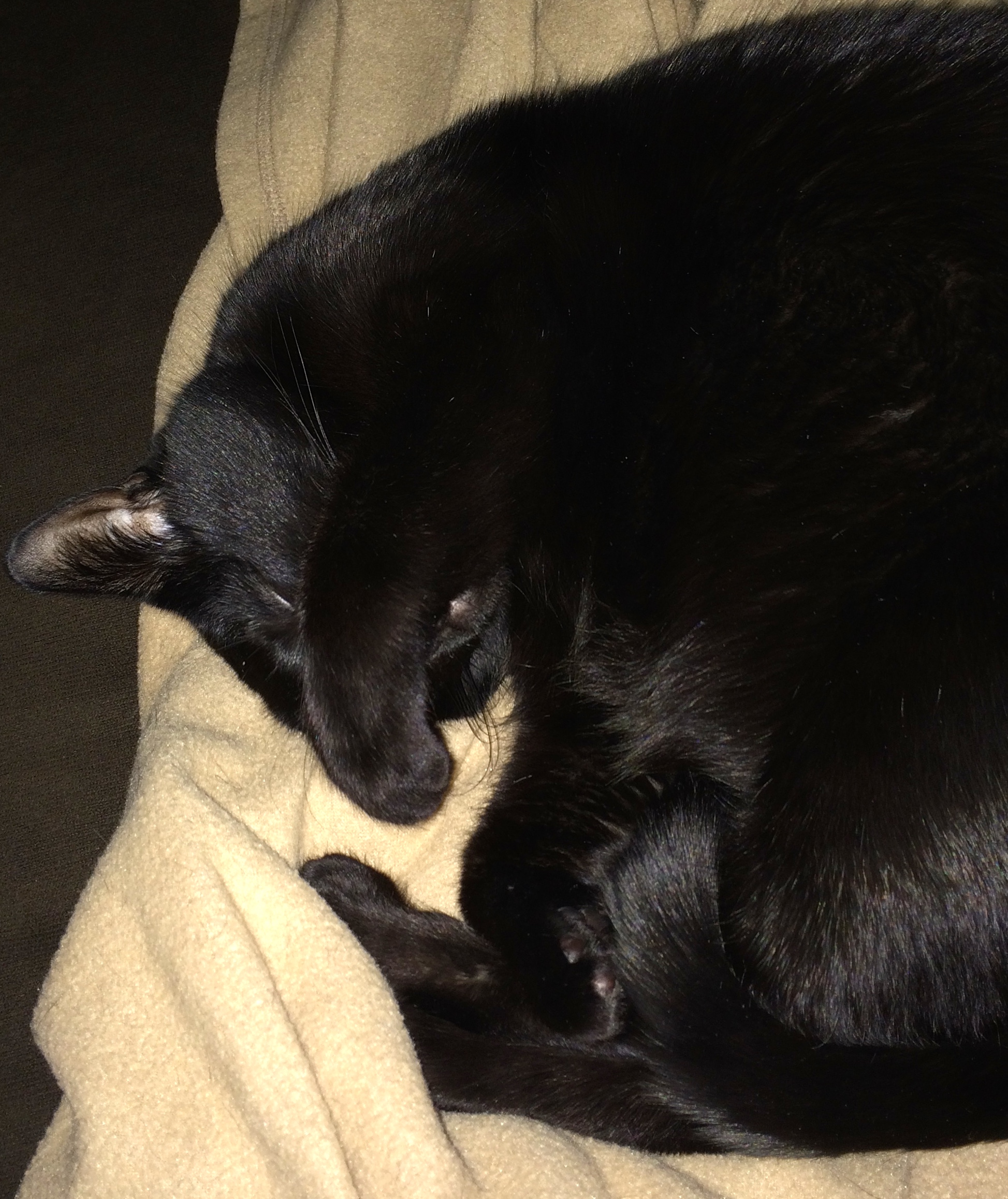 2014-12-06 19.27.44.jpg