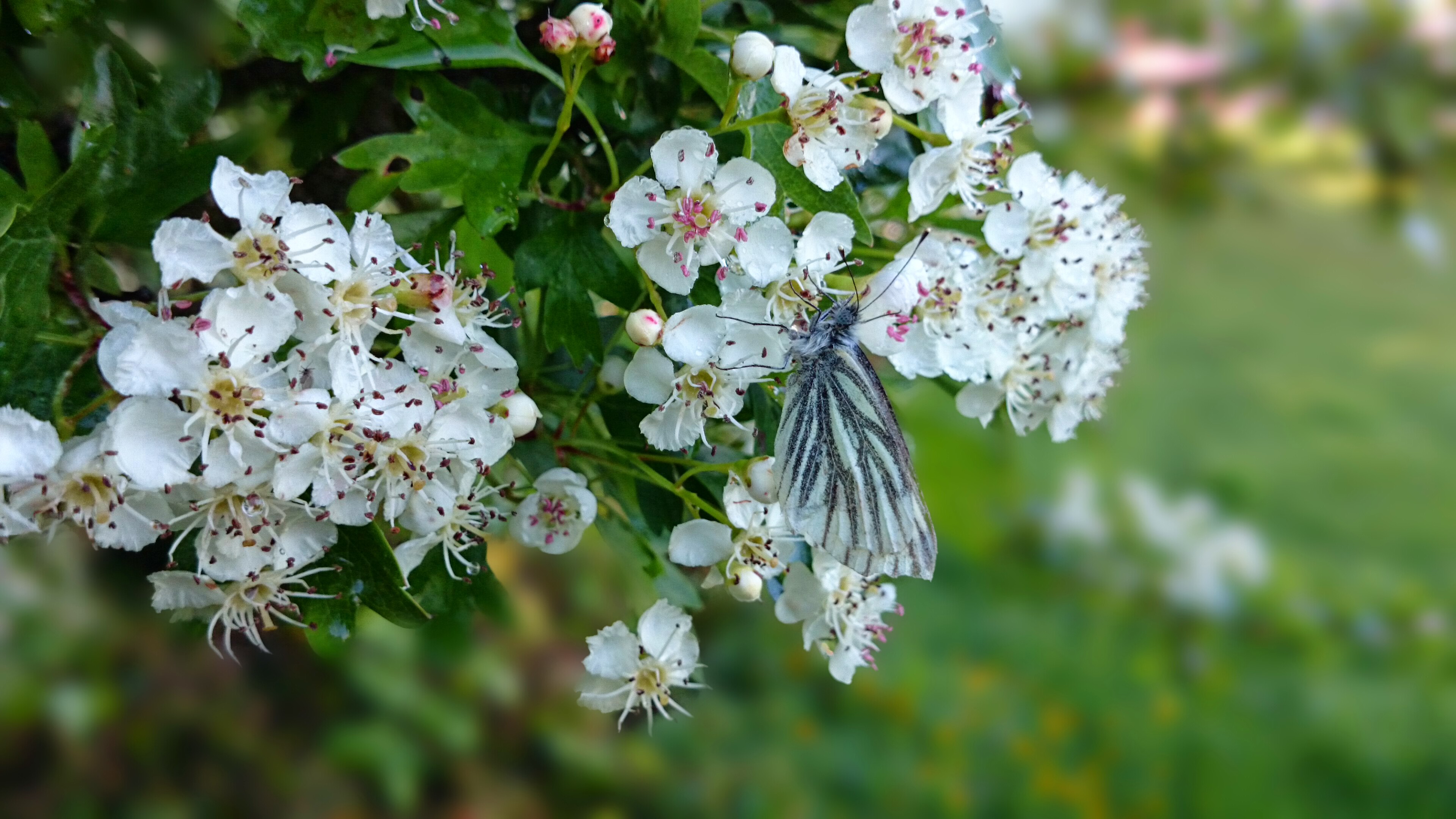 20140521_194429.jpg