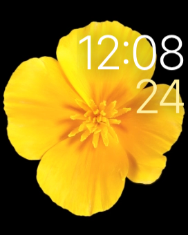 2015-04-24 12.08.52.png