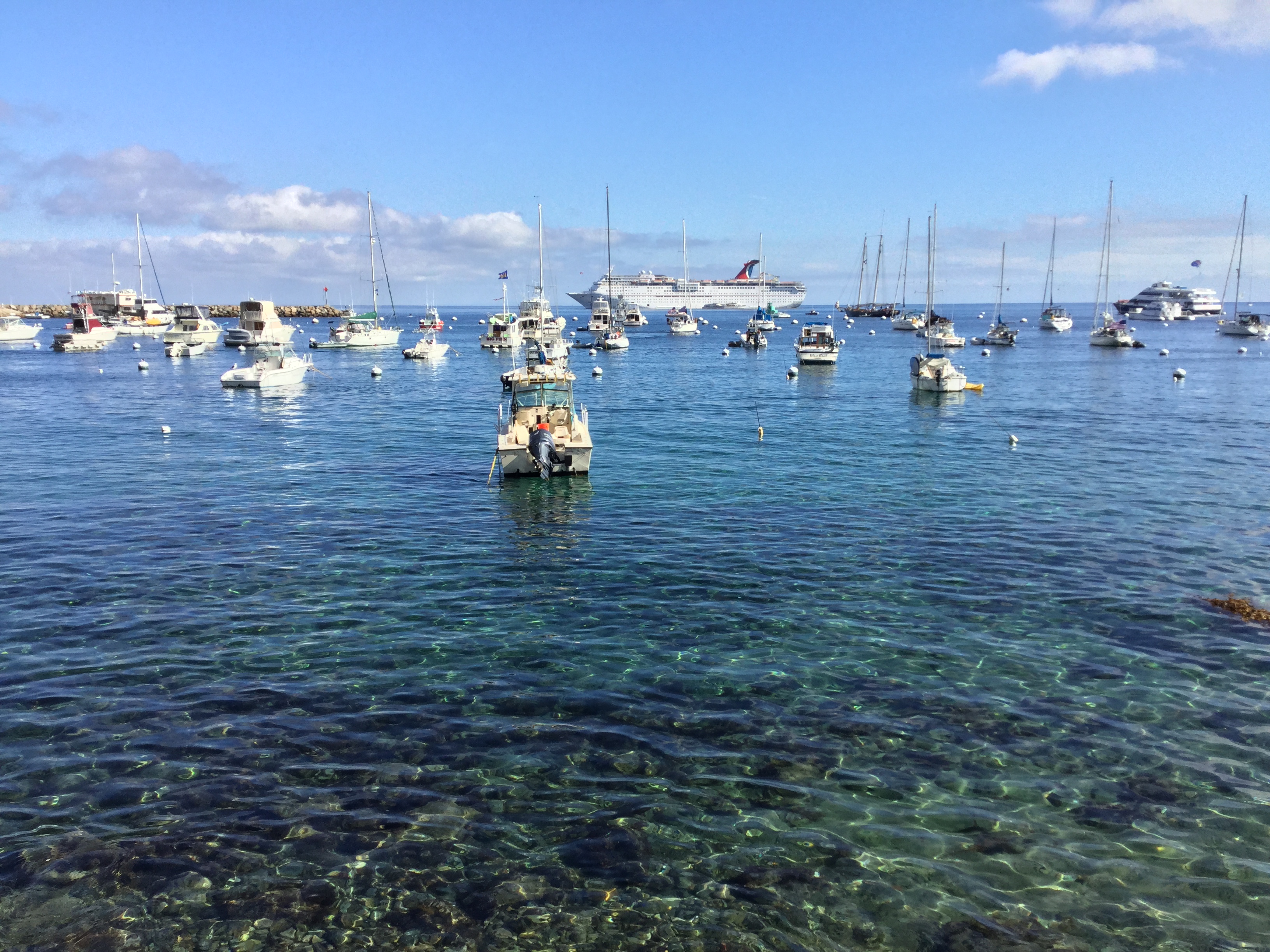 2015-11-24 10.55.37.jpg