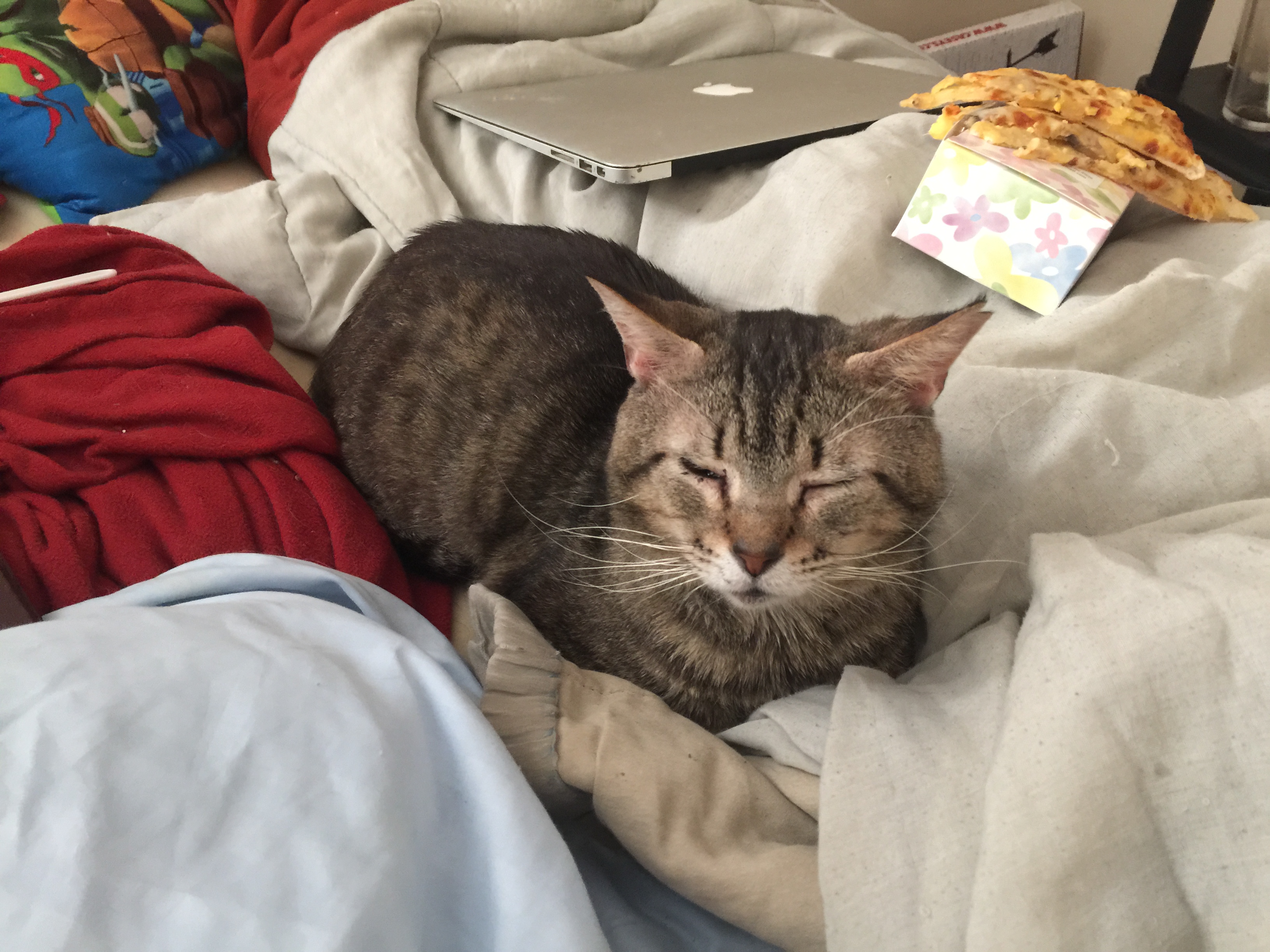 20150411_201803294_iOS.jpg