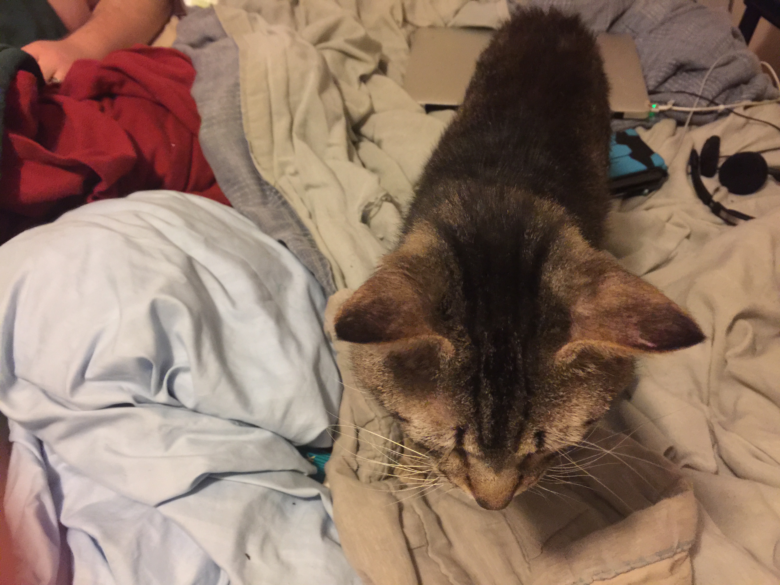 20150413_011839691_iOS.jpg