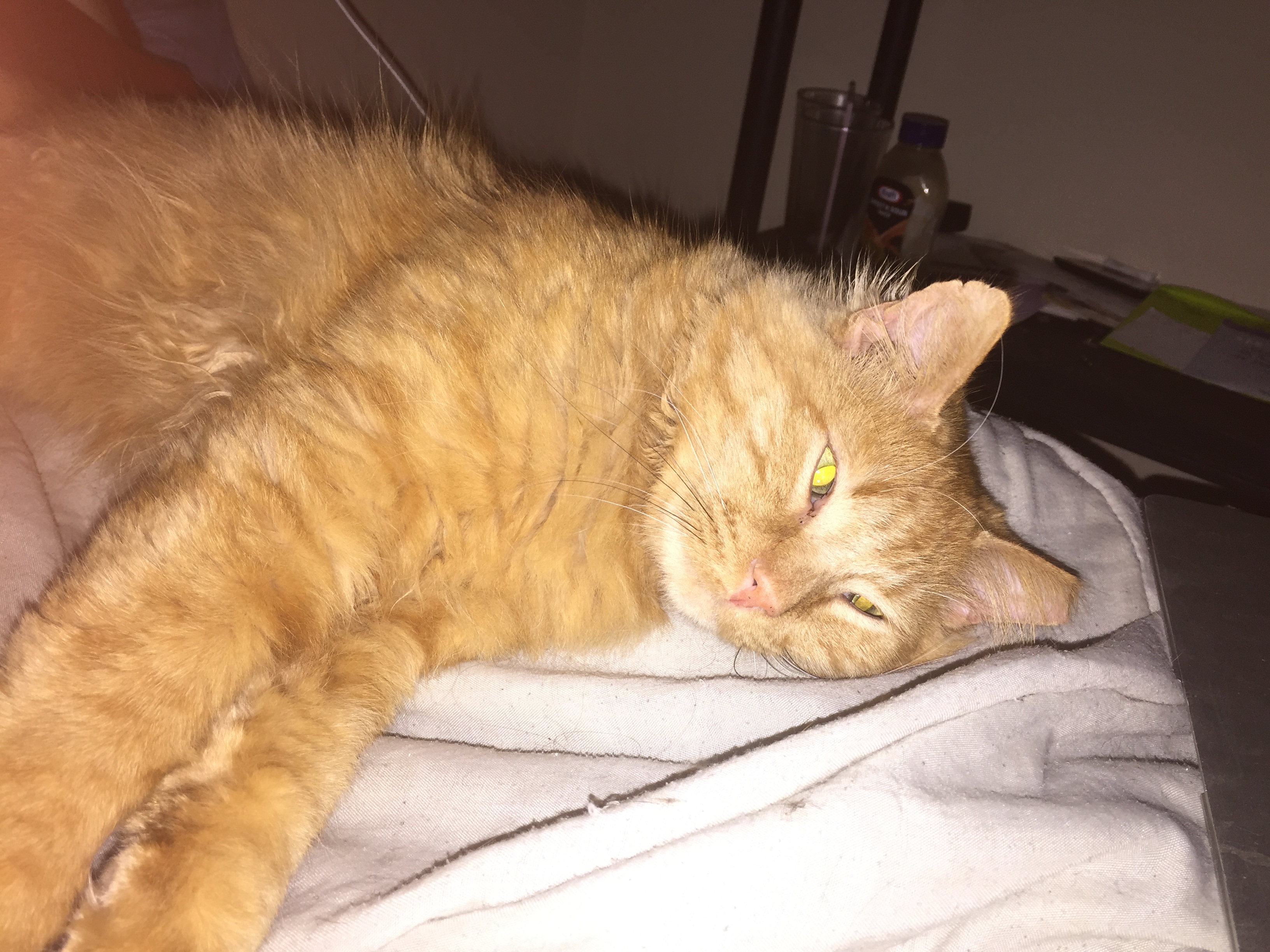 20150414_232003095_iOS.jpg