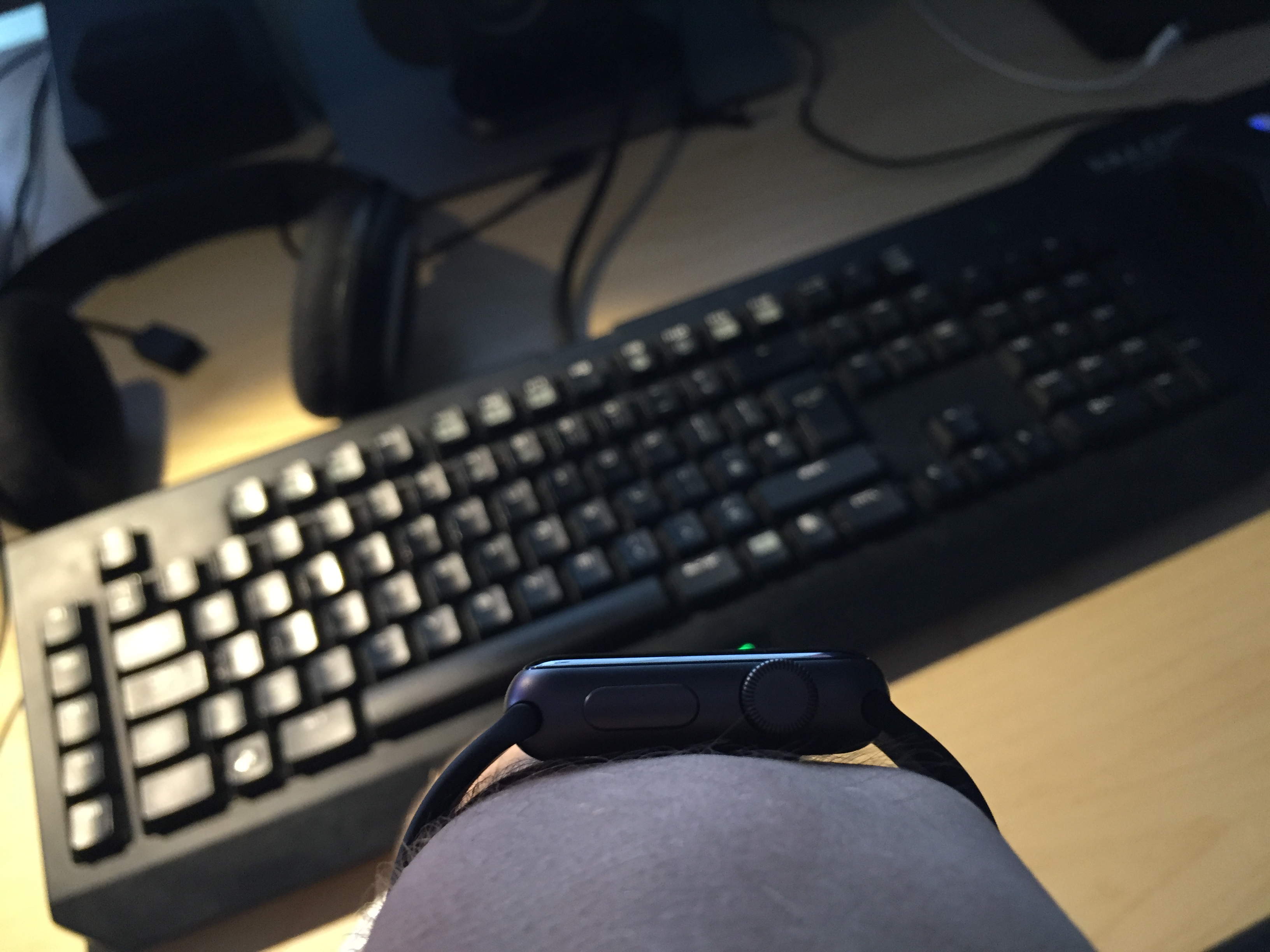 20150716_161726077_iOS.jpg