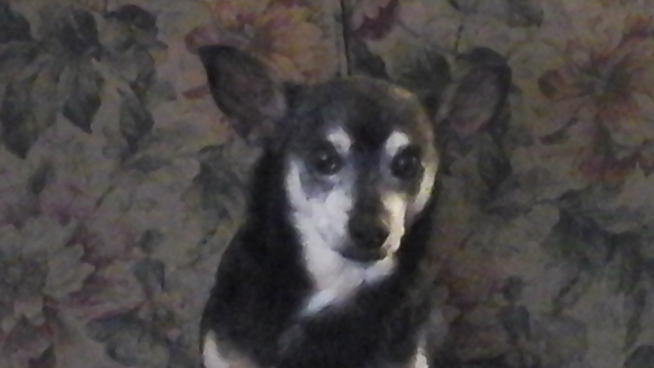 20151126_151416.jpg