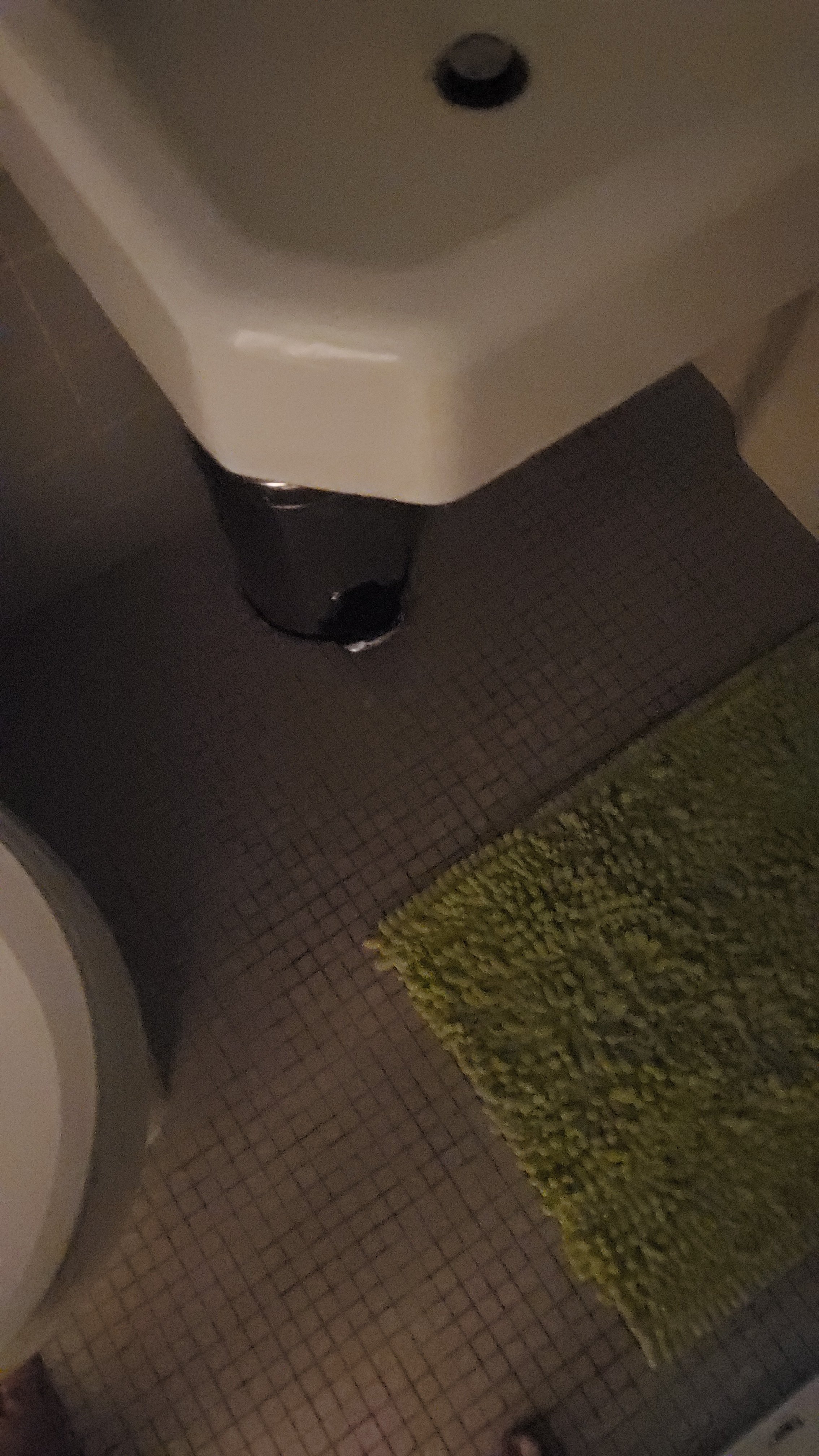 20190316_142910.jpg