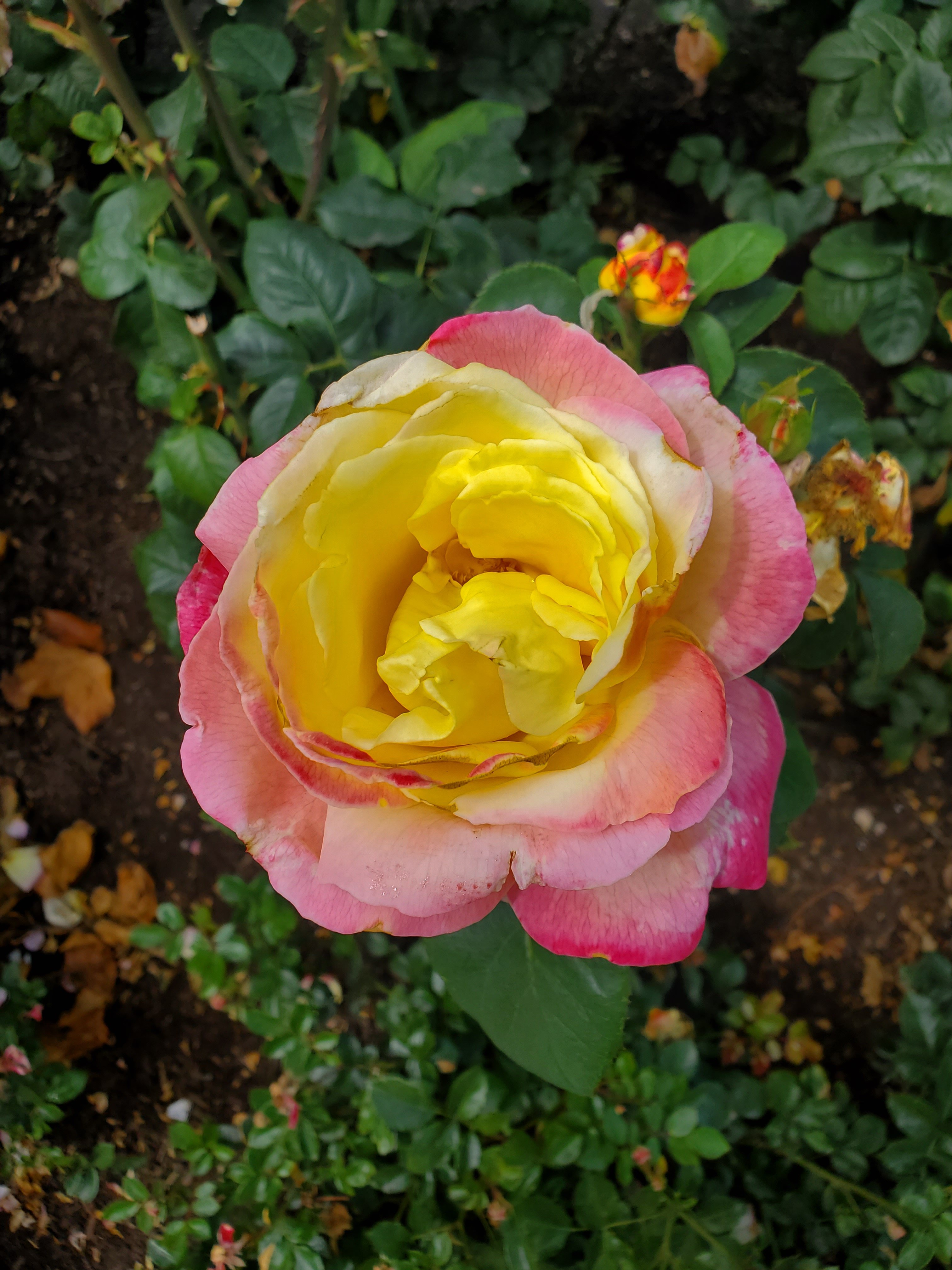 20190816_110720.jpg