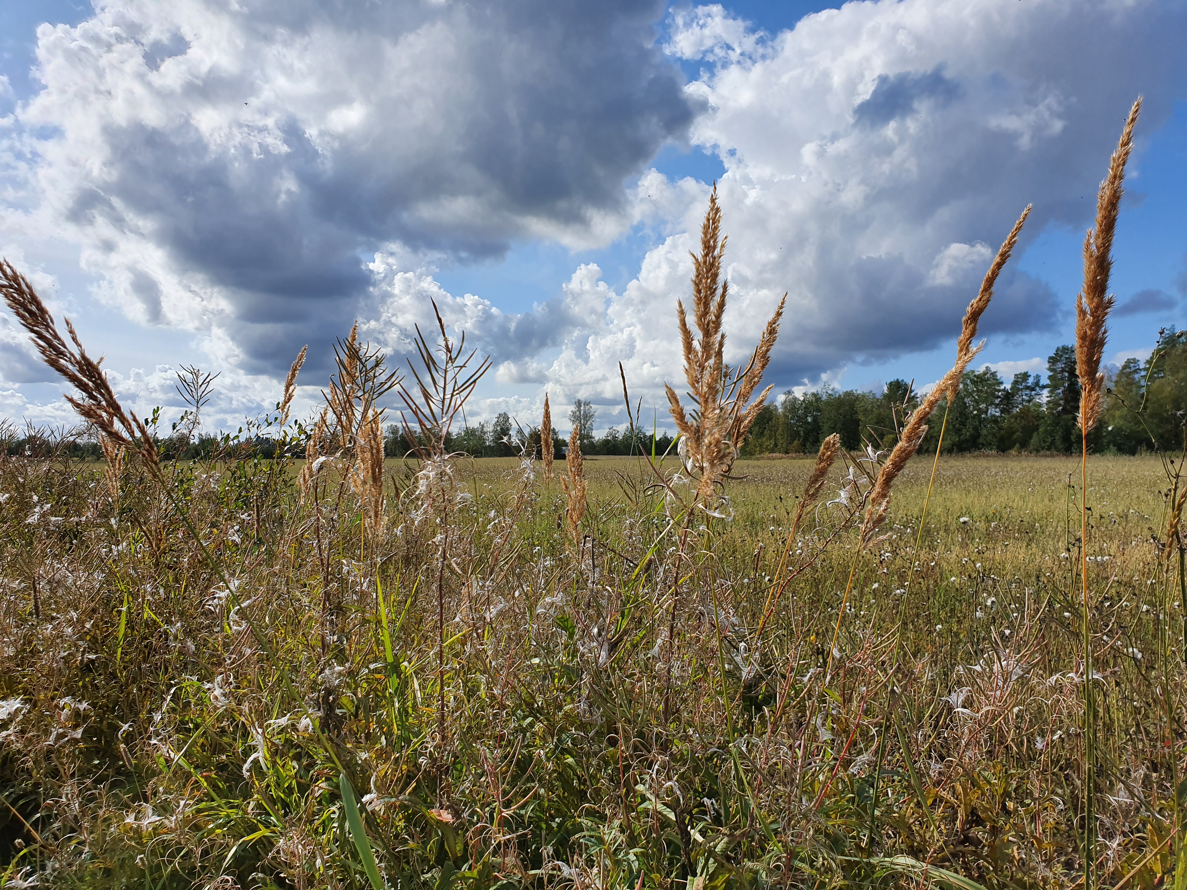 20190908_130516.jpg