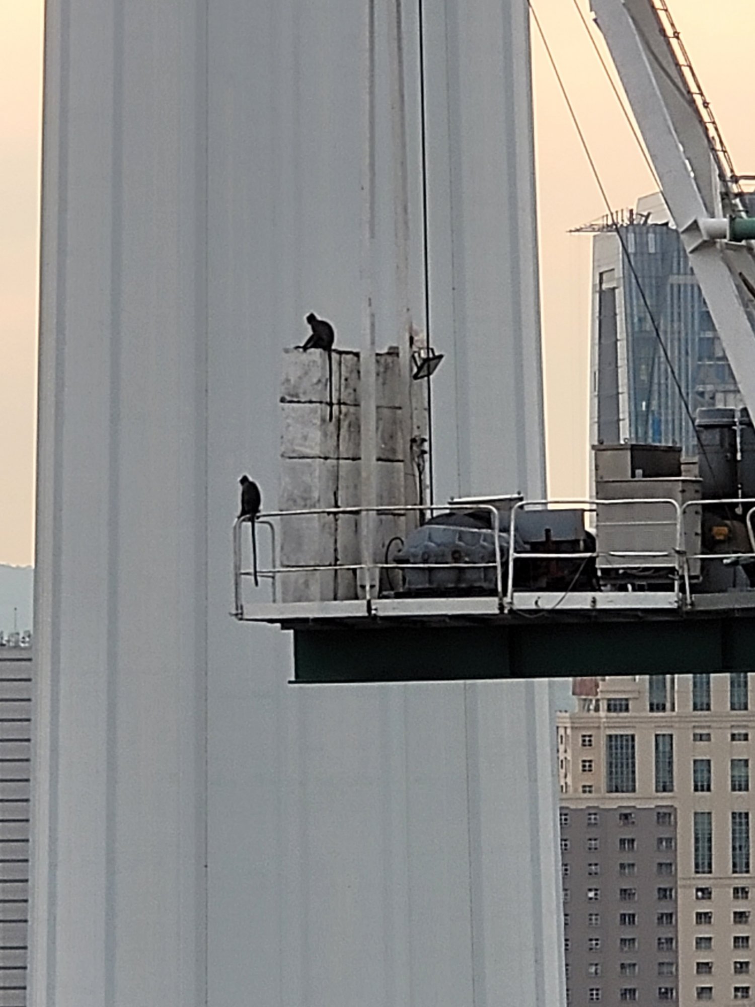 20210729_184533.jpg