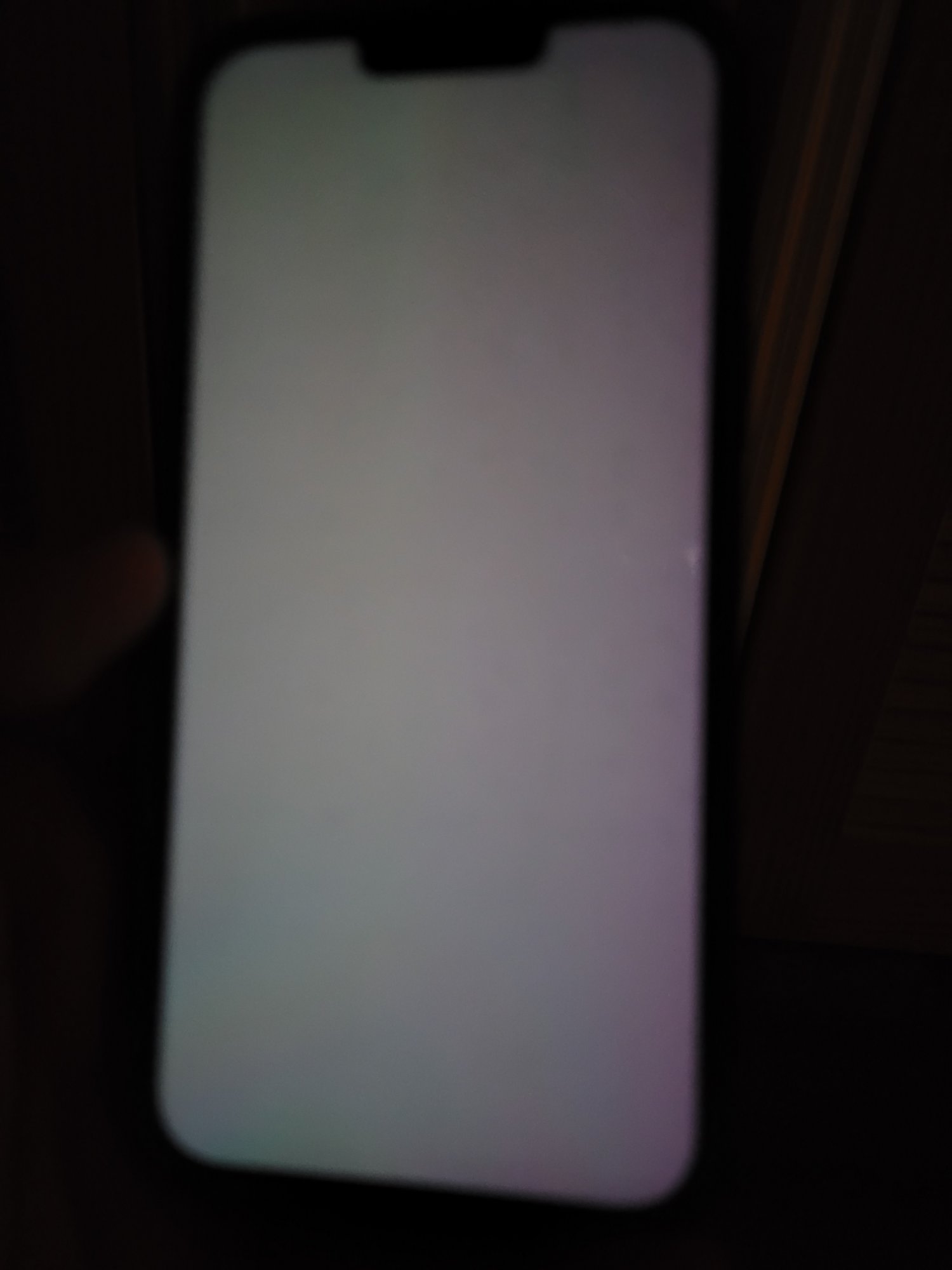 20211115_022426.jpg