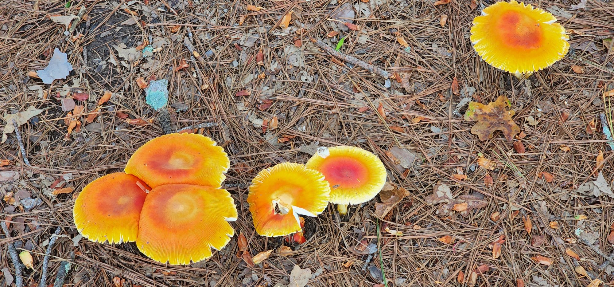 20220810_185137.jpg