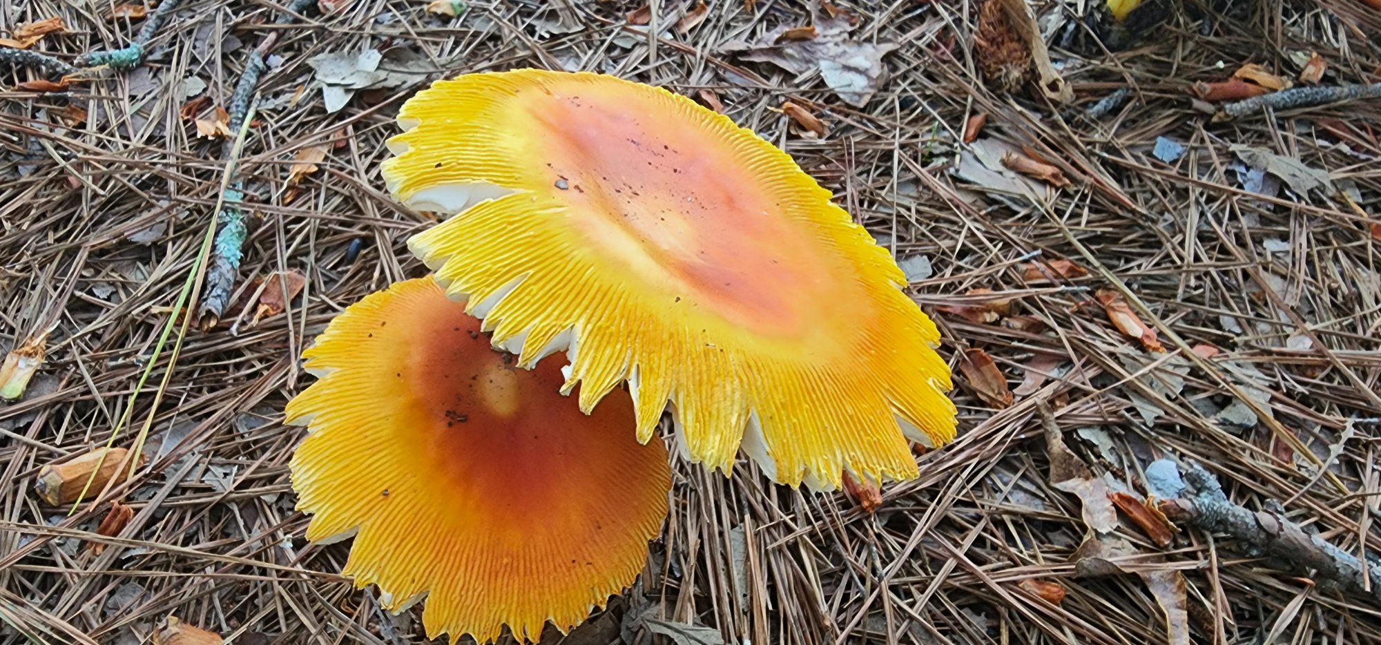 20220810_190834.jpg