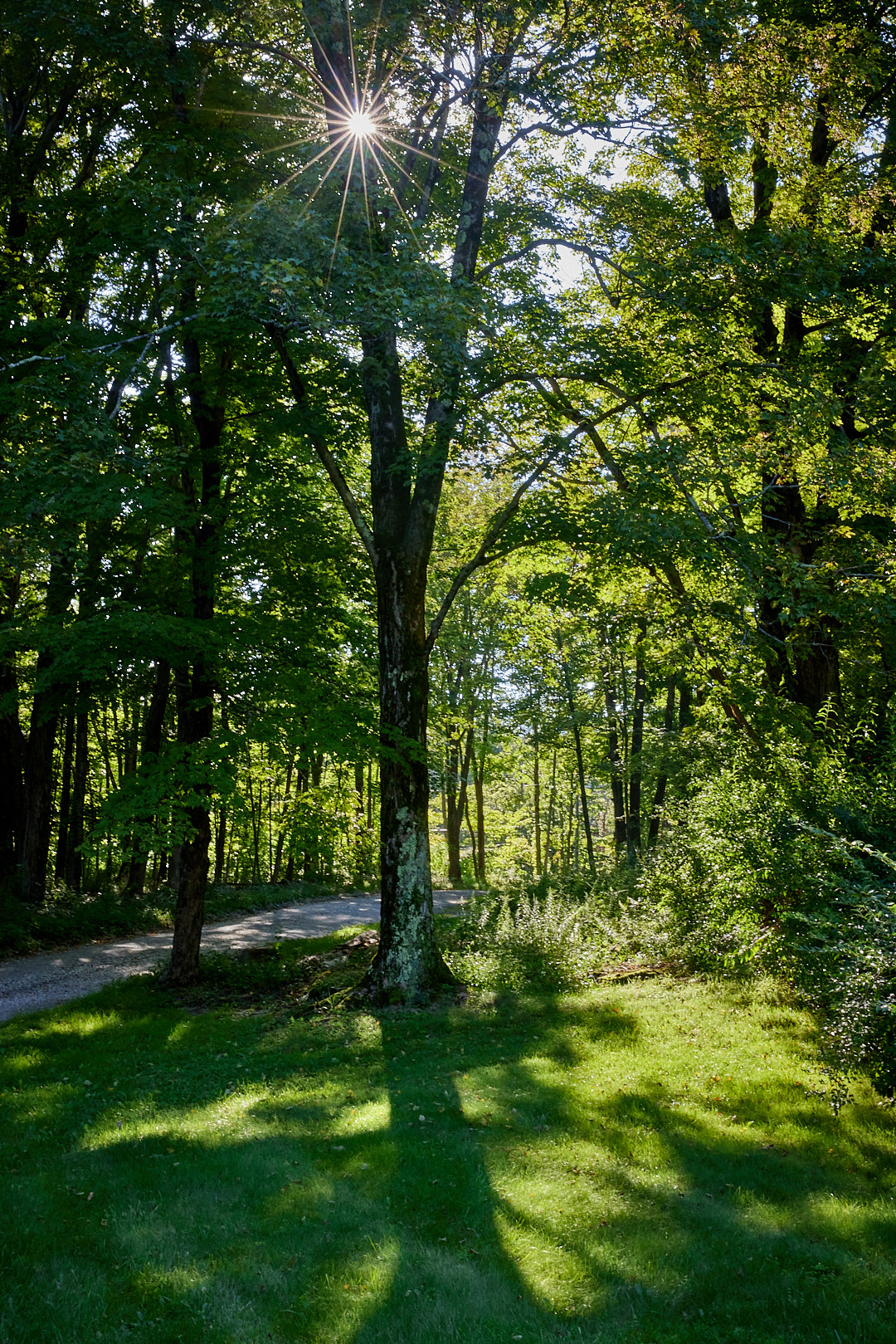 2023-08-26 ~ _R5_0548.jpg