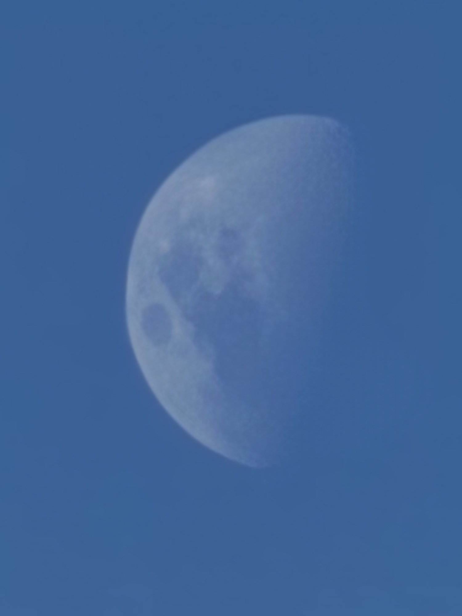 20230228_193105.jpg