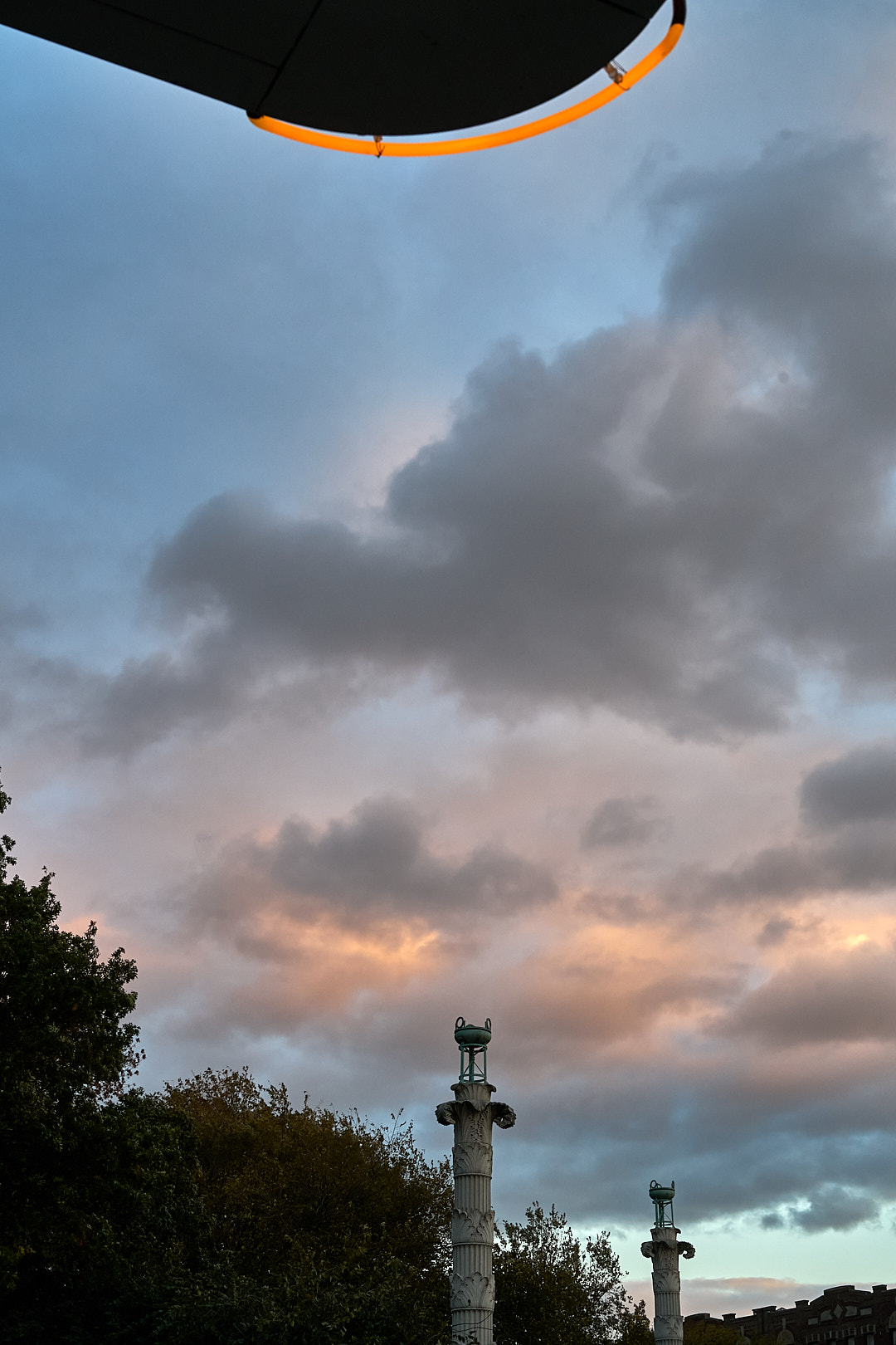 2025-10-20 ~ A7C06339.jpg