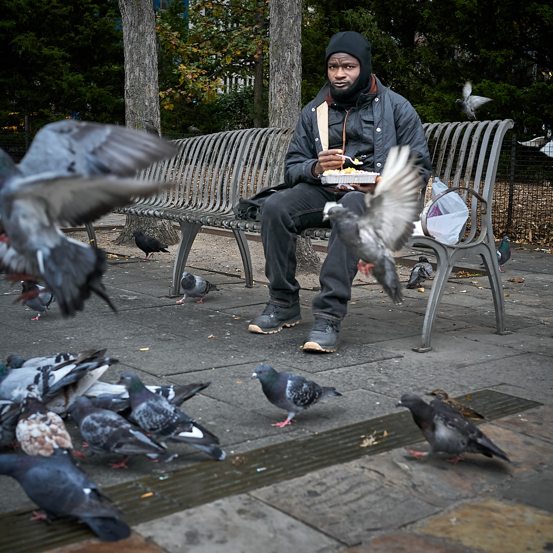 2025-10-28 ~ A7C06750.jpg