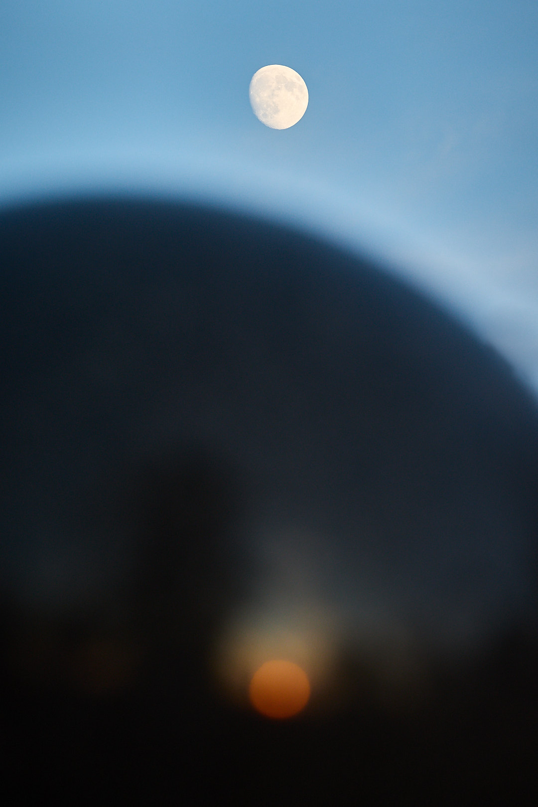 2025-11-02 ~ R52_8587.jpg