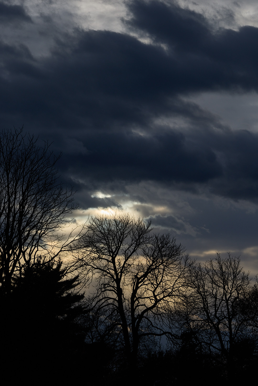 2025-11-14 ~ R52_9872.jpg