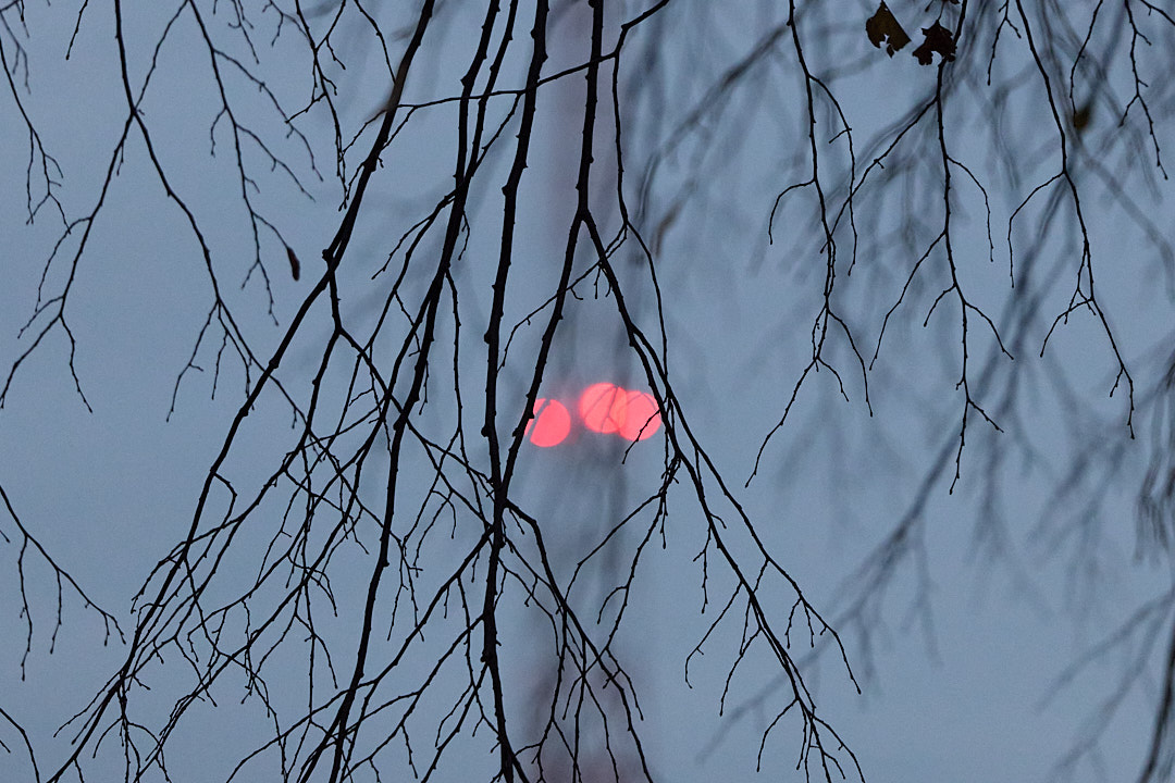 2025-11-15 ~ R52_0375.jpg