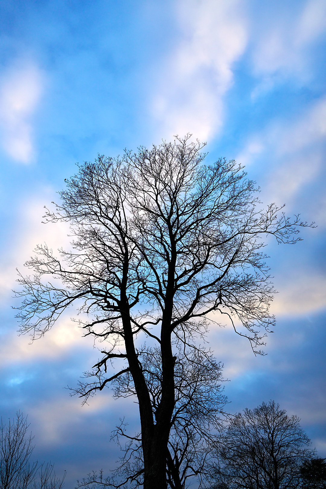 2025-12-07 ~ A7C09358.jpg