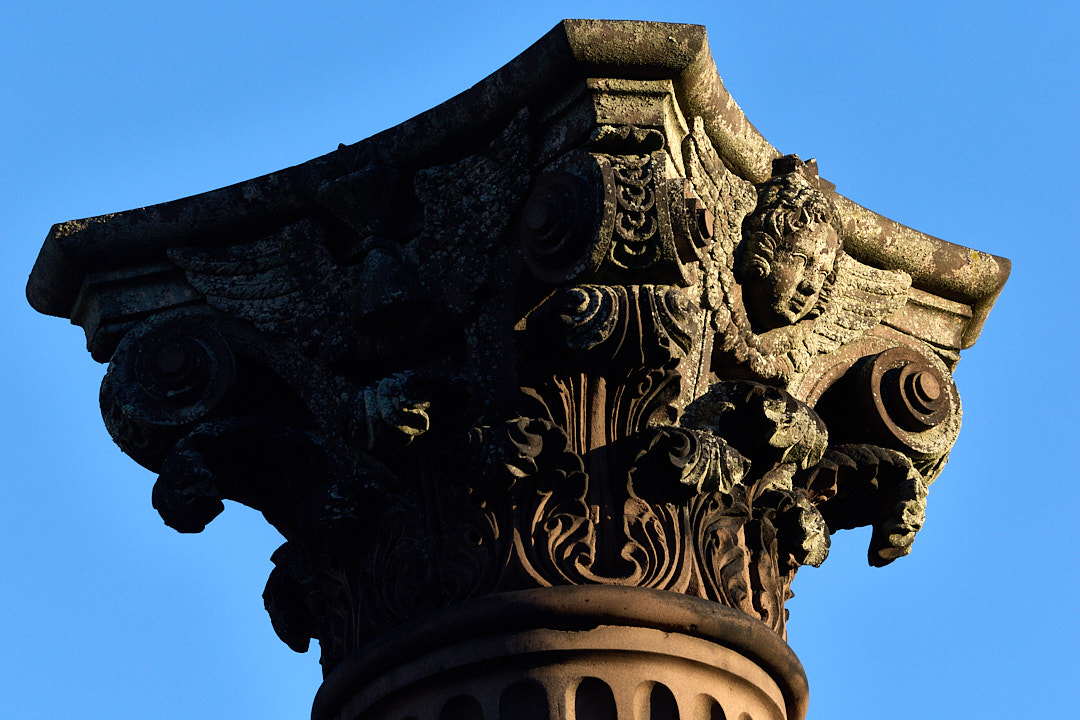 2025-12-22 ~ R52_7398.jpg