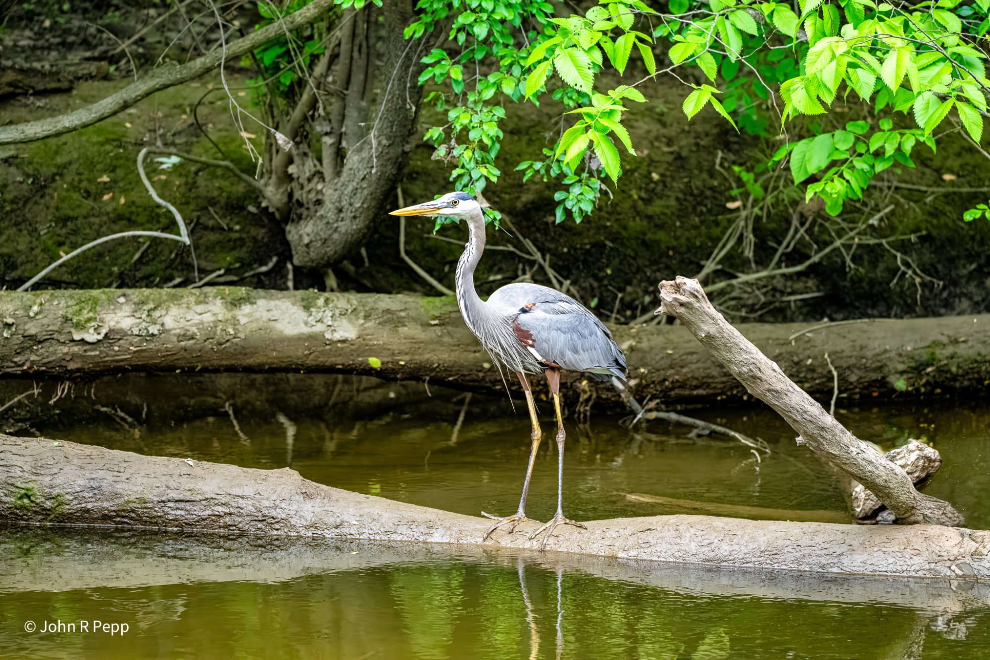 20250519-DSC05607-Edit.jpg