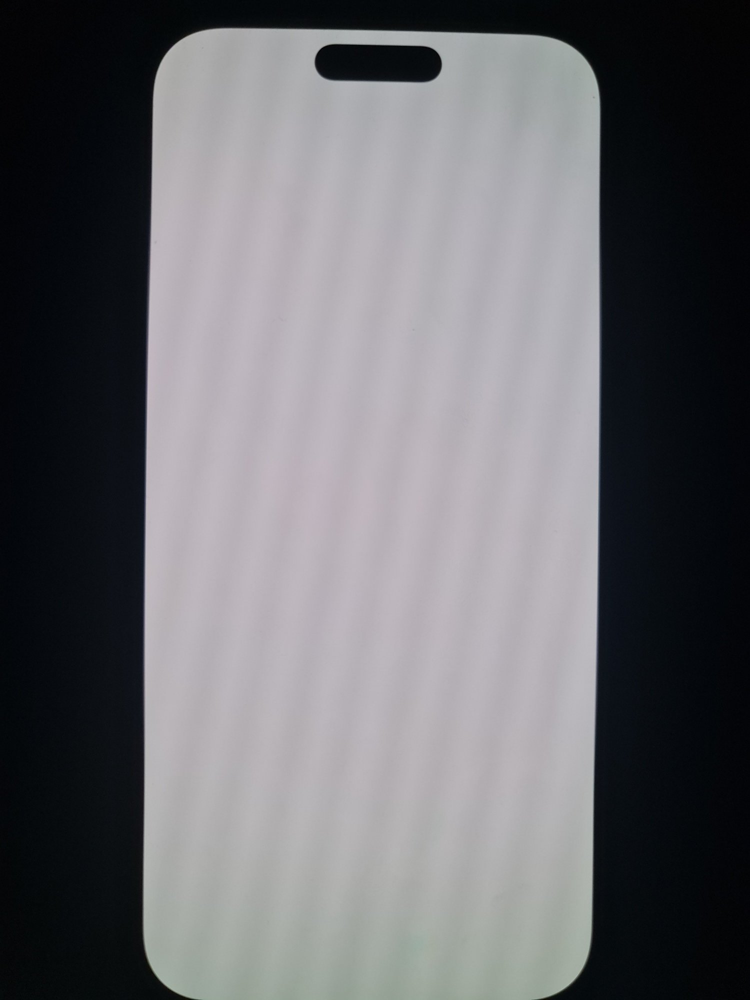 20251205_214026.jpg